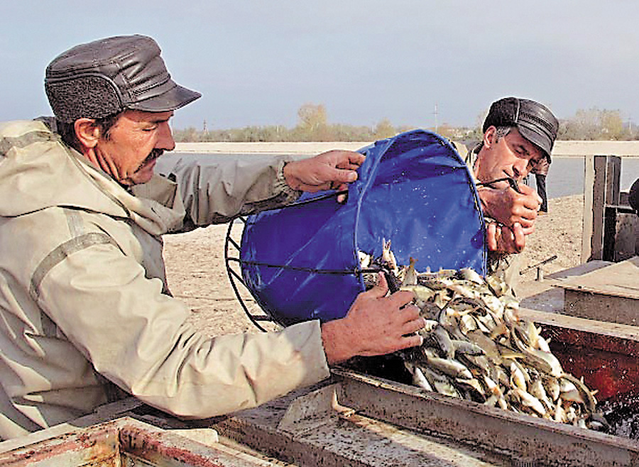 Цінна риба давно стала дефіцитом у наших річках. Фото з сайту forum.spearfishing.org.ua